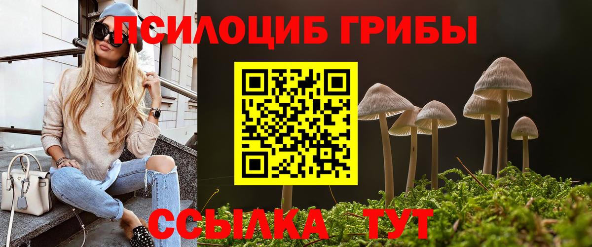Псилоцибиновые грибы ЛСД  Вход с VPN  Киржач  Псилоцибиновые грибы мицелий 